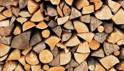 Choosing The Right Wood